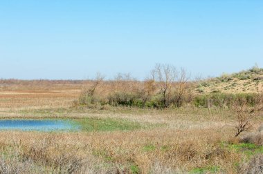 Kumlar Çöl Pınarı