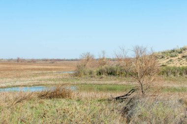 Kumlar Çöl Pınarı