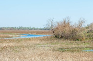 Kumlar Çöl Pınarı