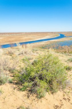 Kumlar Çöl Pınarı