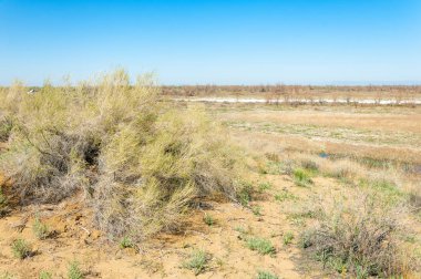 Kumlar Çöl Pınarı