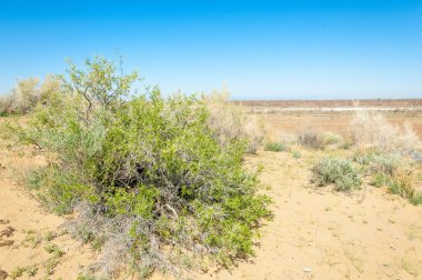 Kumlar Çöl Pınarı