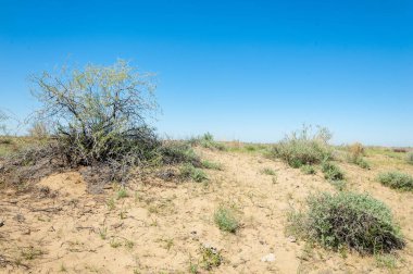 Kumlar Çöl Pınarı