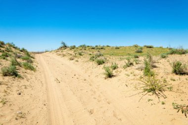 Kumlar Çöl Pınarı