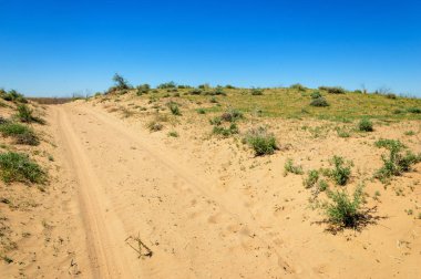 Kumlar Çöl Pınarı