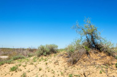 Kumlar Çöl Pınarı