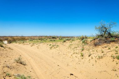 Kumlar Çöl Pınarı