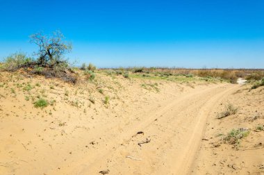 Kumlar Çöl Pınarı