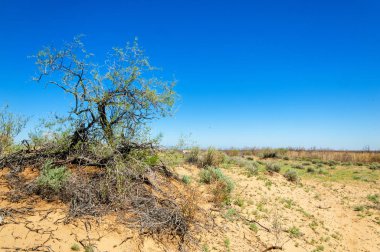 Kumlar Çöl Pınarı