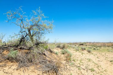 Kumlar Çöl Pınarı