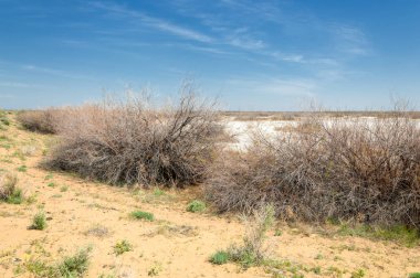 Kumlar Çöl Pınarı