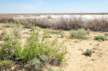 Kumlar Çöl Pınarı