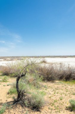 Kumlar Çöl Pınarı