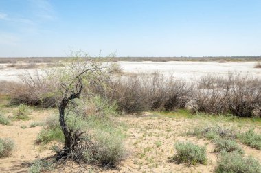 Kumlar Çöl Pınarı