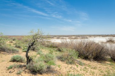 Kumlar Çöl Pınarı