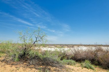 Kumlar Çöl Pınarı