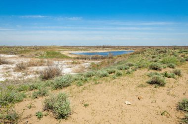 Kumlar Çöl Pınarı