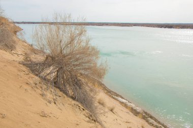 kum. Bahar. su. kar. haloxylon