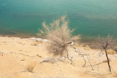 kum. Bahar. su. kar. haloxylon