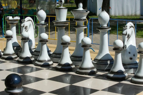 Текстура, фон. Фон. Большие шахматы в парке — стоковое фото
