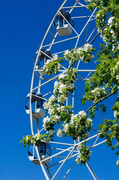 Rueda Ferris en el parque de la ciudad. Mitad de la noria gigante roja wi —  Fotos de Stock