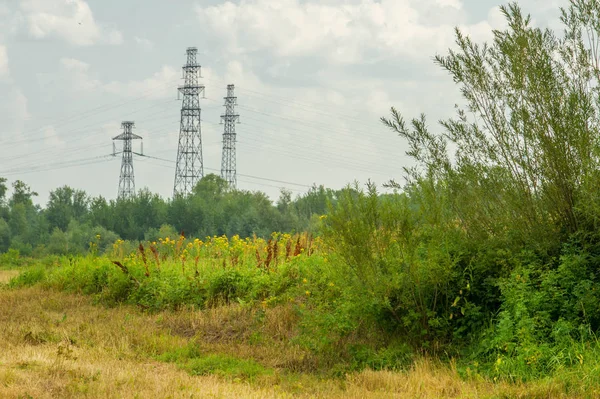 Yaz fotoğrafçılığı manzarası, sel otlakları biçildi. bir parça gr