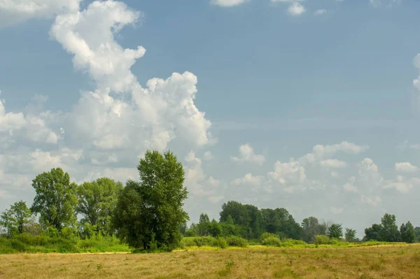 Yaz fotoğrafçılığı manzarası, sel otlakları biçildi. bir parça gr