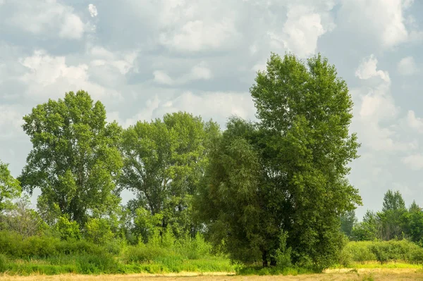 Літня фотографія пейзаж, повені луки косити. шматок gr — стокове фото