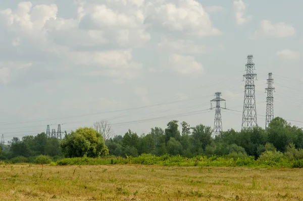 Yaz fotoğrafçılığı manzarası, sel otlakları biçildi. bir parça gr