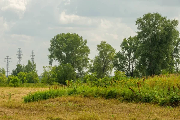 Yaz fotoğrafçılığı manzarası, sel otlakları biçildi. bir parça gr