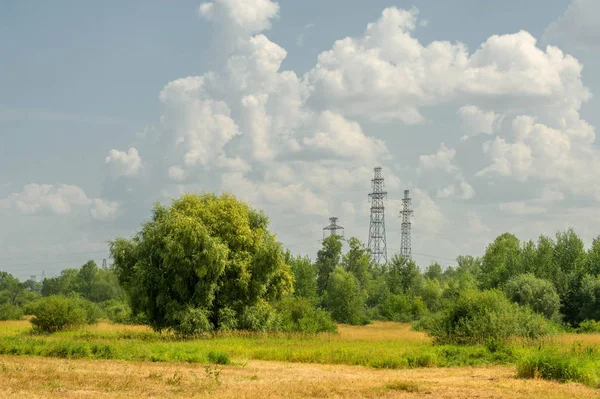 Yaz fotoğrafçılığı manzarası, sel otlakları biçildi. bir parça gr