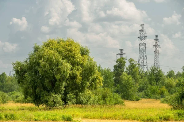Yaz fotoğrafçılığı manzarası, sel otlakları biçildi. bir parça gr