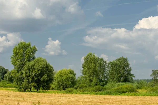 Letní fotografování krajiny, povodňové louky posekané. a kus gru — Stock fotografie