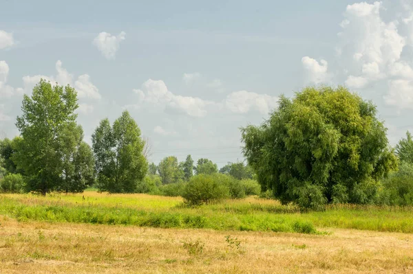 Літня фотографія пейзаж, повені луки косити. шматок gr — стокове фото