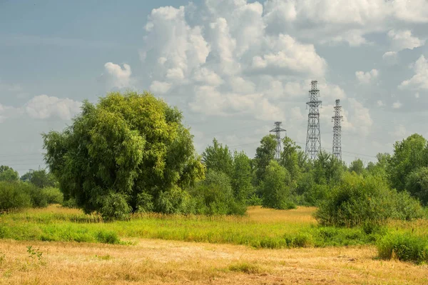 Yaz fotoğrafçılığı manzarası, sel otlakları biçildi. bir parça gr
