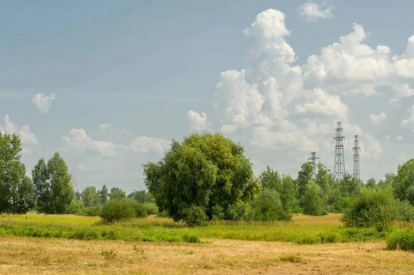 Yaz fotoğrafçılığı manzarası, sel otlakları biçildi. bir parça gr