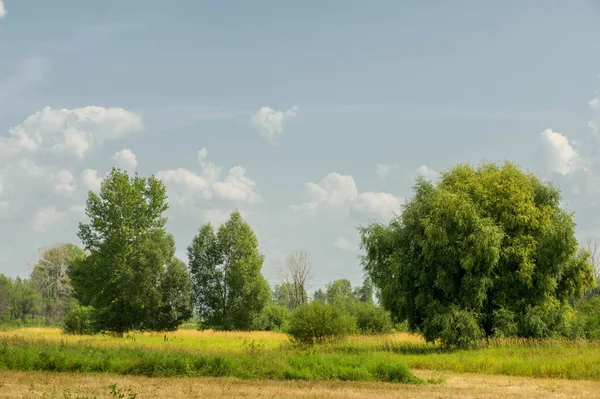 Літня фотографія пейзаж, повені луки косити. шматок gr — стокове фото