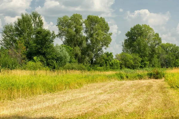 Yaz fotoğrafçılığı manzarası, sel otlakları biçildi. bir parça gr