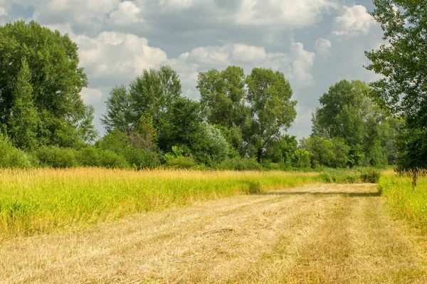 Letní fotografování krajiny, povodňové louky posekané. a kus gru — Stock fotografie