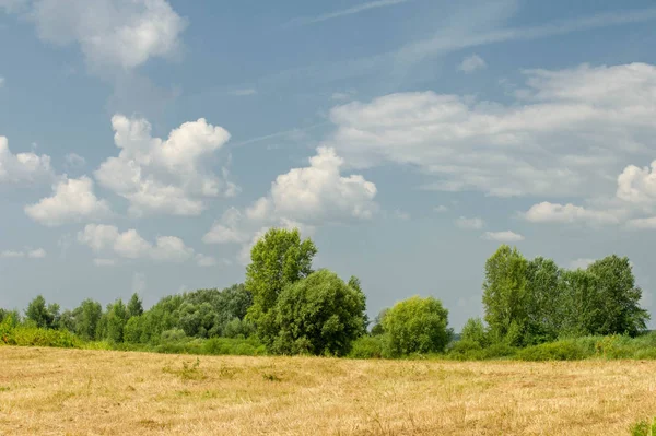 Yaz fotoğrafçılığı manzarası, sel otlakları biçildi. bir parça gr