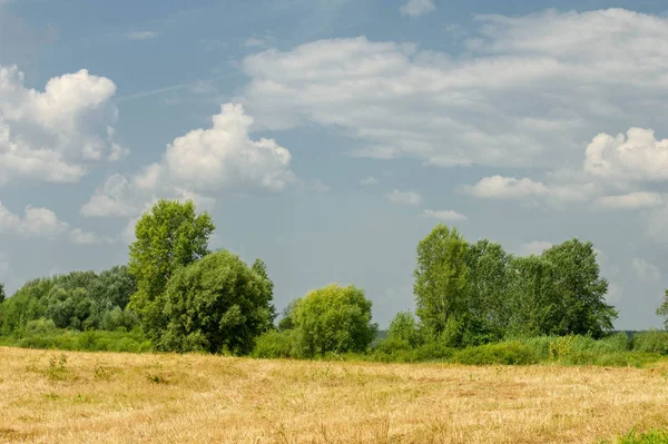 Yaz fotoğrafçılığı manzarası, sel otlakları biçildi. bir parça gr