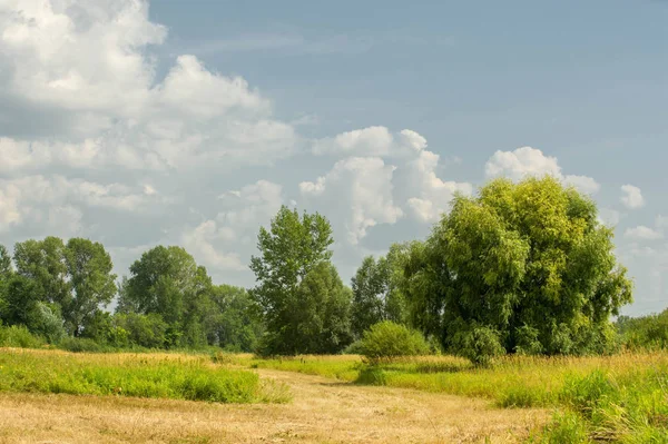 Letni krajobraz fotografii, skoszone łąki powodziowe. kawałek gr — Zdjęcie stockowe