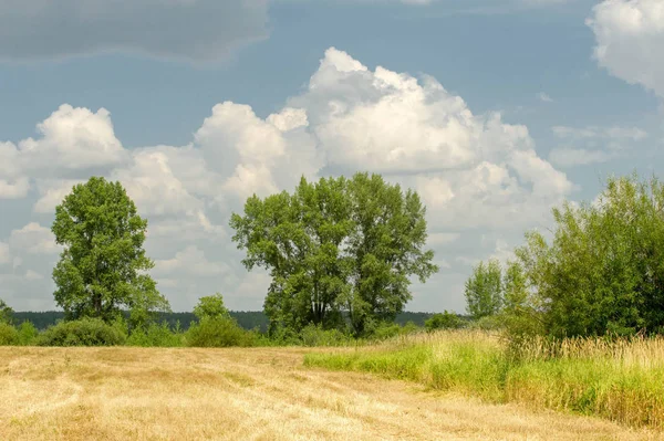 Літня фотографія пейзаж, повені луки косити. шматок gr — стокове фото