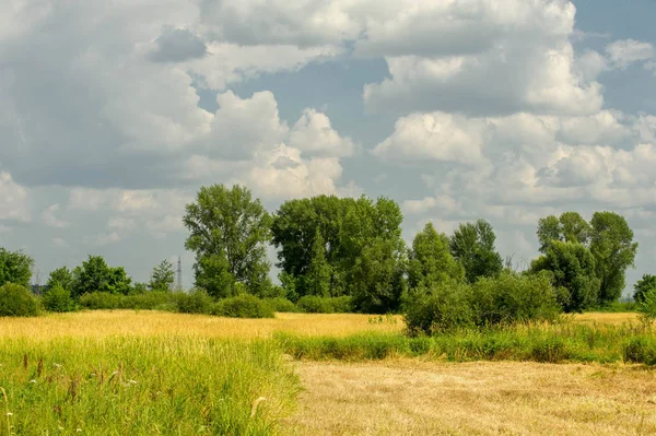 Літня фотографія пейзаж, повені луки косити. шматок gr — стокове фото