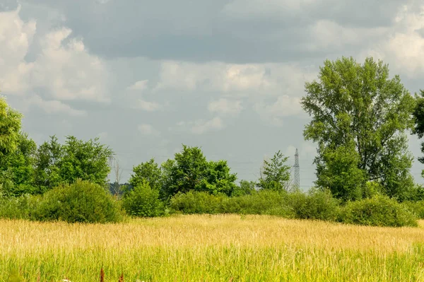 Літня фотографія пейзаж, повені луки косити. шматок gr — стокове фото