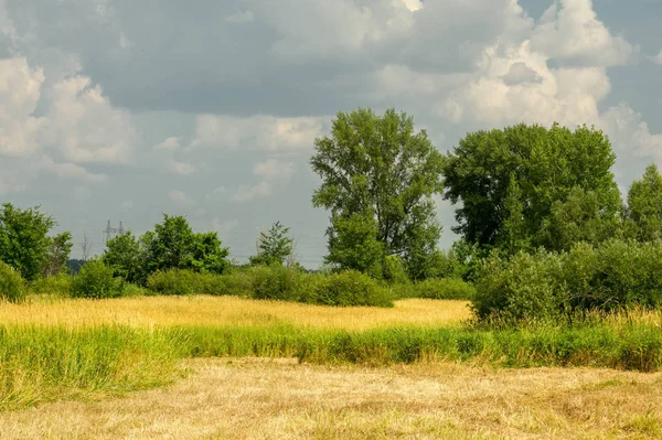 Yaz fotoğrafçılığı manzarası, sel otlakları biçildi. bir parça gr