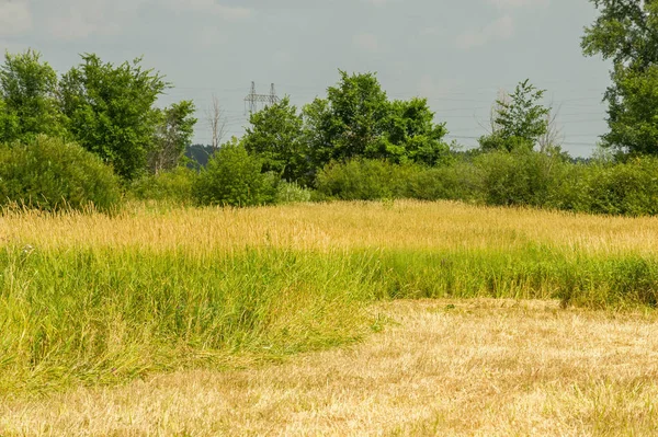 Yaz fotoğrafçılığı manzarası, sel otlakları biçildi. bir parça gr
