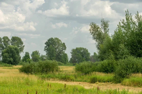 Yaz fotoğrafçılığı manzarası, sel otlakları biçildi. bir parça gr