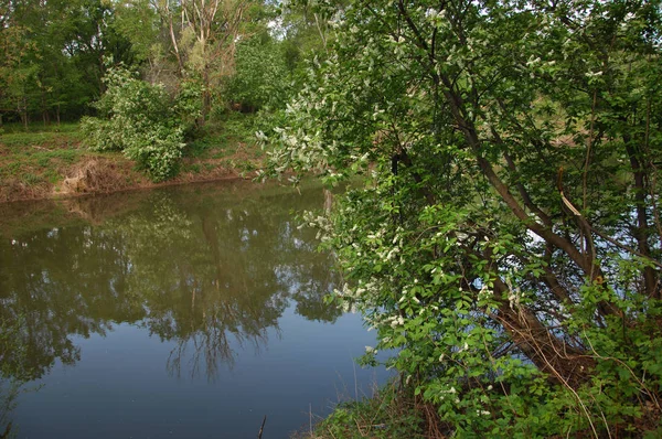 Rzeka wiosna — Zdjęcie stockowe
