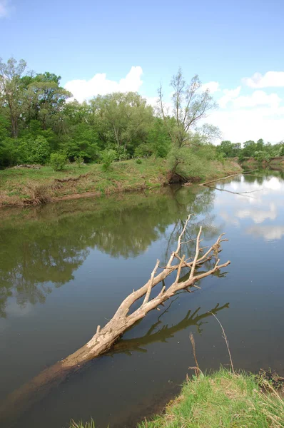 Lente rivier — Stockfoto